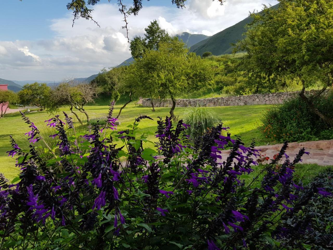 La Morada Villa Purmamarca Eksteriør billede