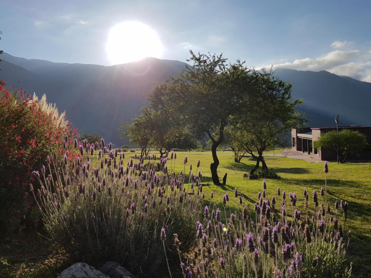 La Morada Villa Purmamarca Eksteriør billede